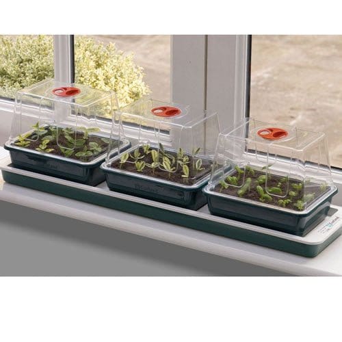 Minidrivhus med varme - Blomsterverden